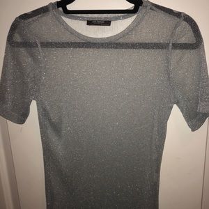 Zara Shear Sparkly Top